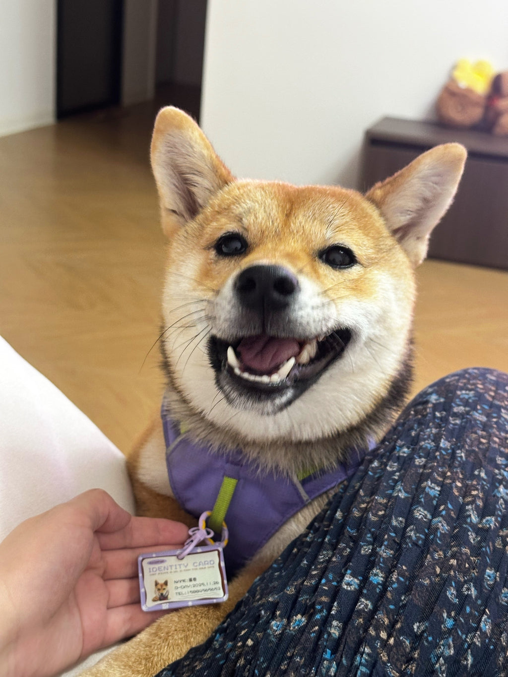 The Forever ID Tag