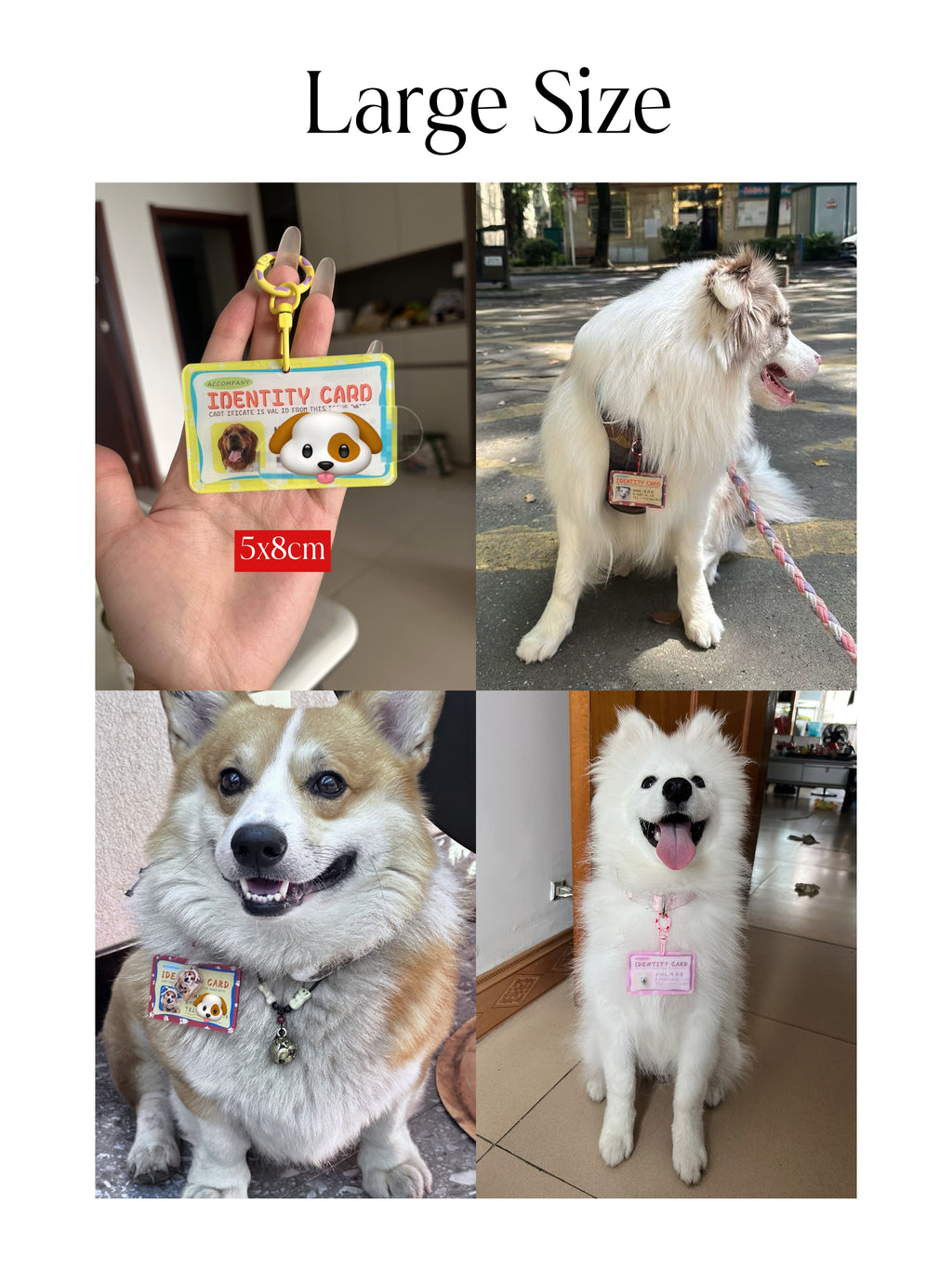 The Forever ID Tag