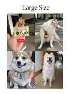 The Forever ID Tag