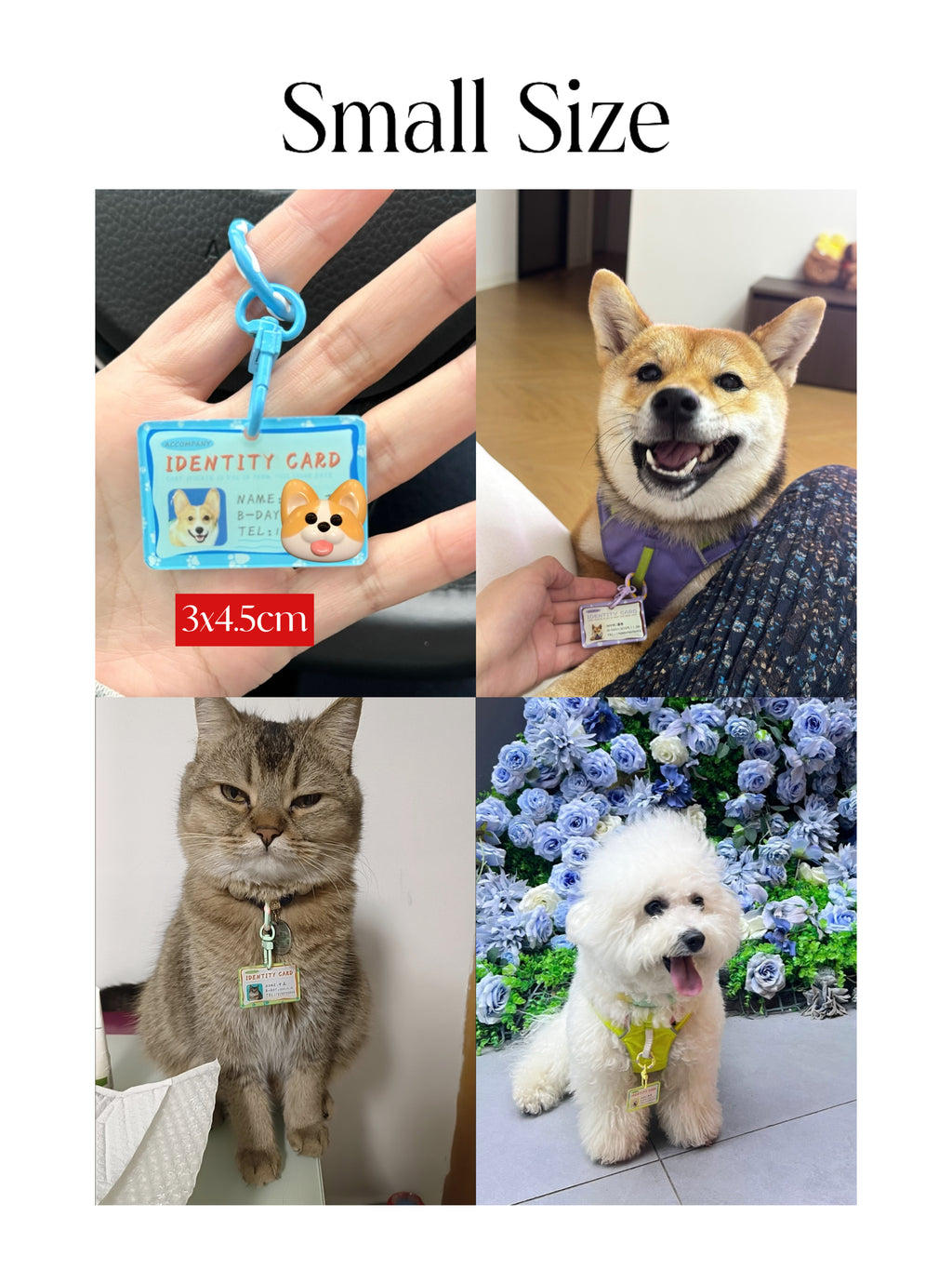 The Forever ID Tag