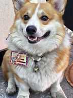 The Forever ID Tag
